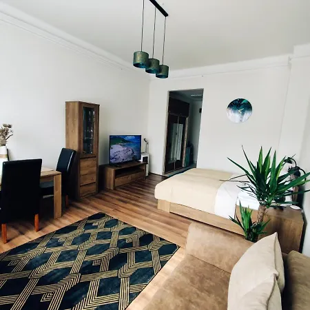 Apartament Palace *